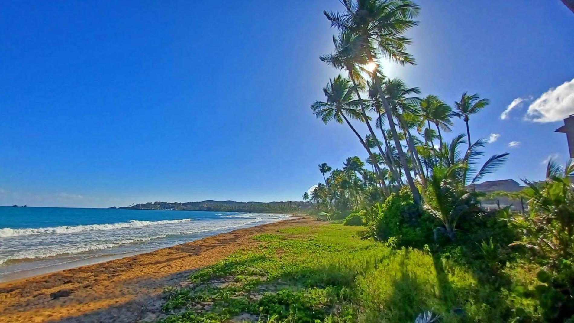 Apartmán Turtle Pond Humacao Exteriér fotografie